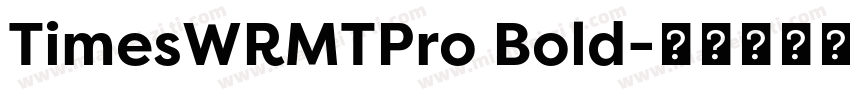 TimesWRMTPro Bold字体转换